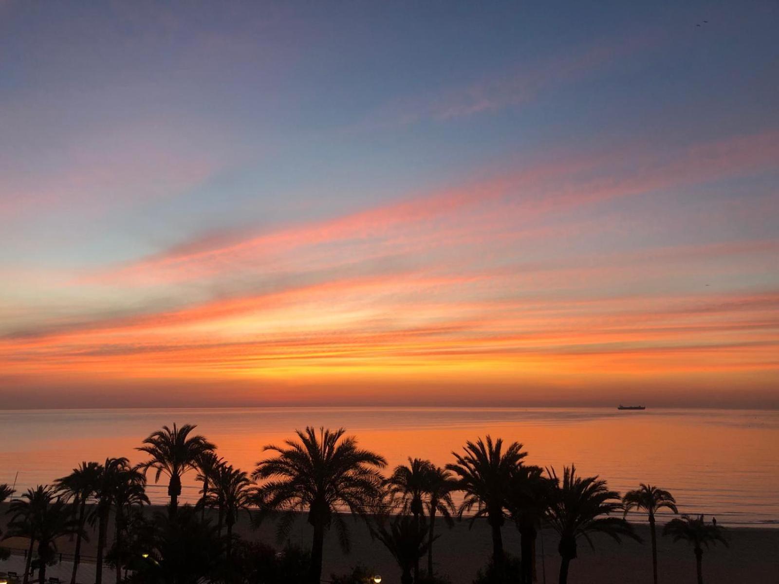 Apartamentos Bahia Alicante Ngoại thất bức ảnh